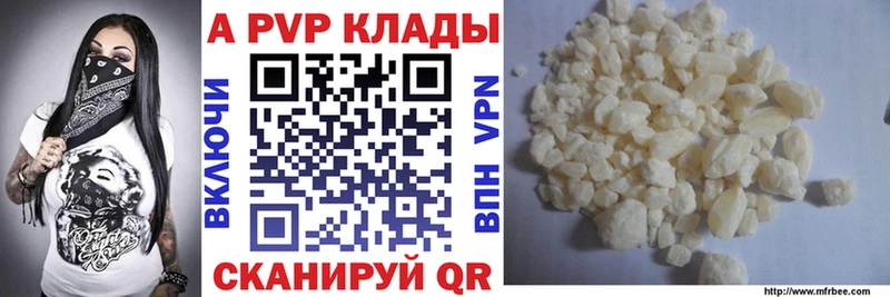 A PVP СК КРИС  Кингисепп 