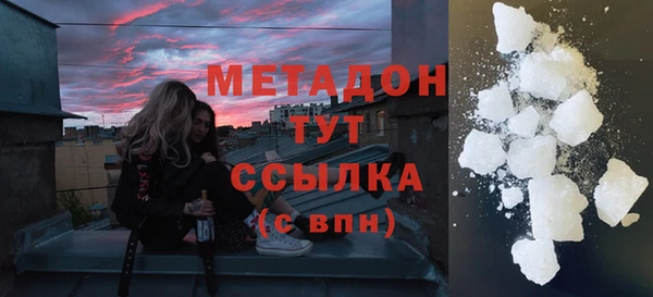индика Осинники