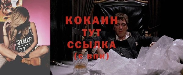мдпв Нягань