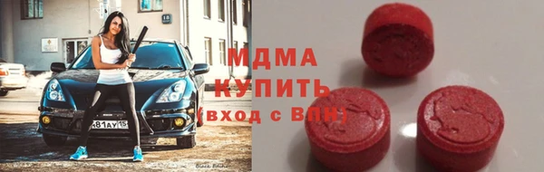 индика Осинники