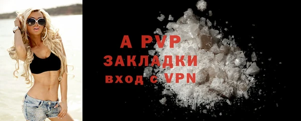 индика Осинники