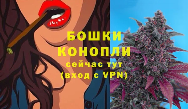 apvp Осташков