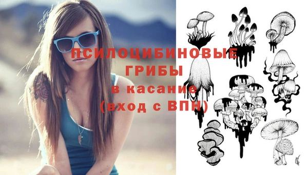 мдпв Нягань