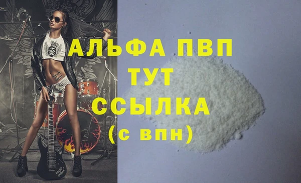 индика Осинники