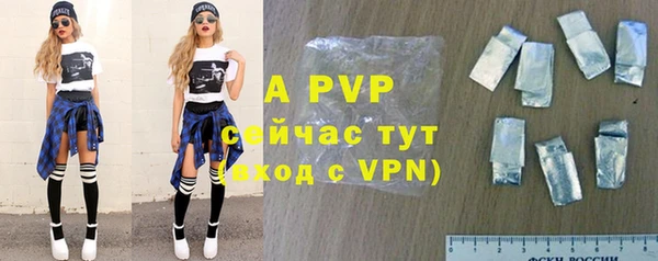 индика Осинники
