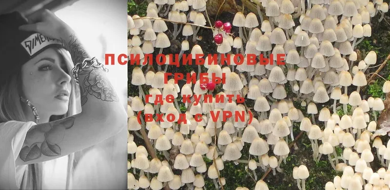 Псилоцибиновые грибы Magic Shrooms  Кингисепп 