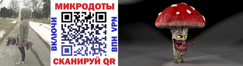 дарк нет телеграм  Кингисепп  Псилоцибиновые грибы Psilocybine cubensis 
