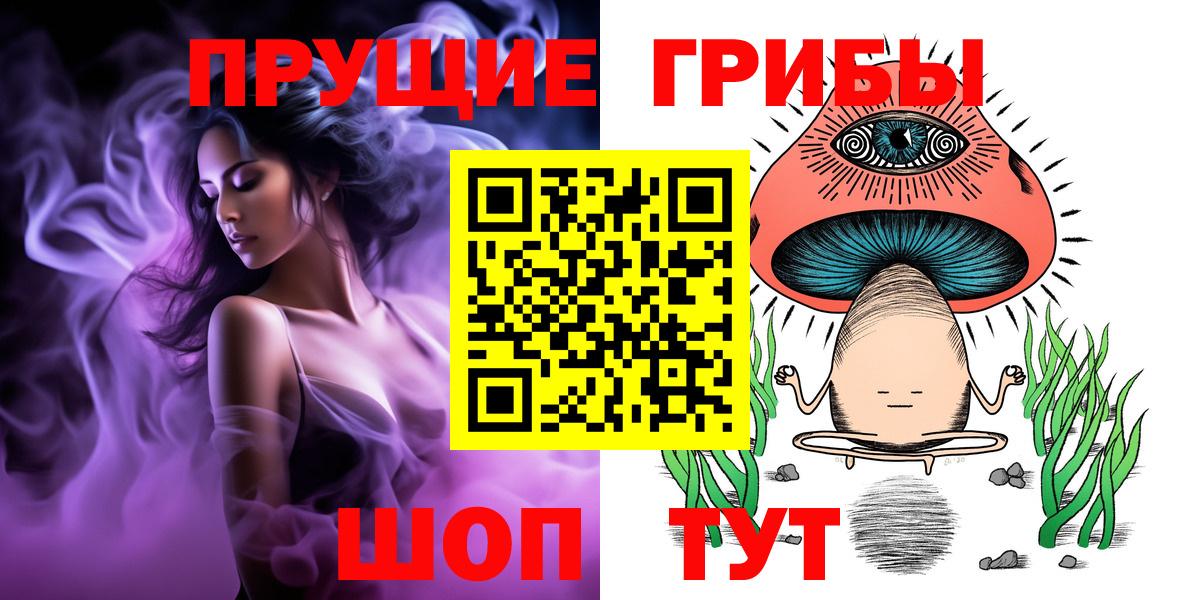 Кингисепп  Галлюциногенные грибы Cubensis  сколько стоит  Вход с VPN 