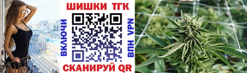 сколько стоит  Кингисепп  Конопля индика 